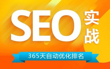 上海seo培訓(xùn)班,真實網(wǎng)站優(yōu)化,培養(yǎng)實戰(zhàn)seo優(yōu)化人才